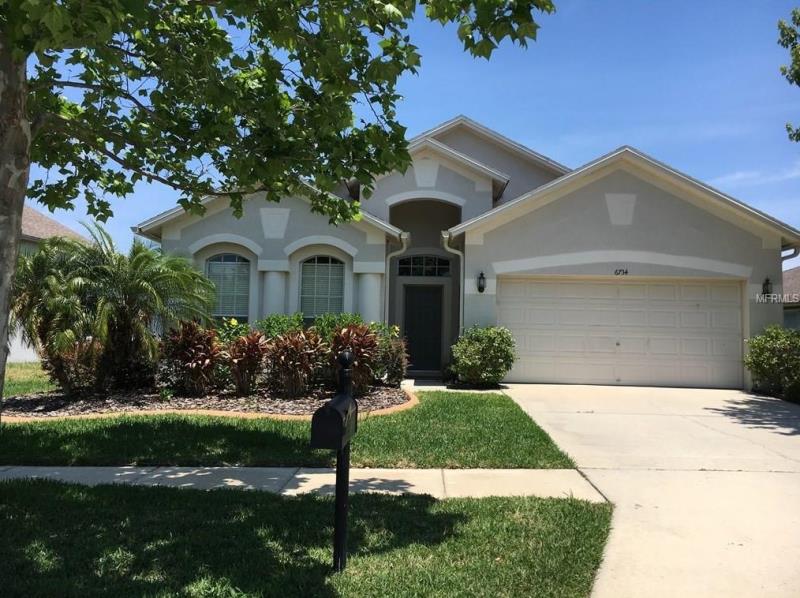 6734 Runner Oak Drive, Wesley Chapel, FL 33545 Home for Sale