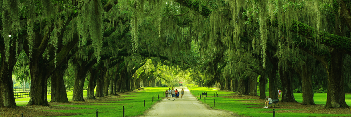 Summerville, SC