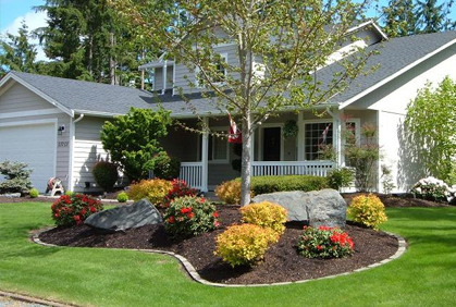 front yard.jpg