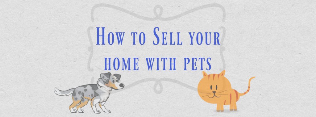 How-to-sell-your-home-with-pets-1024x379.jpg