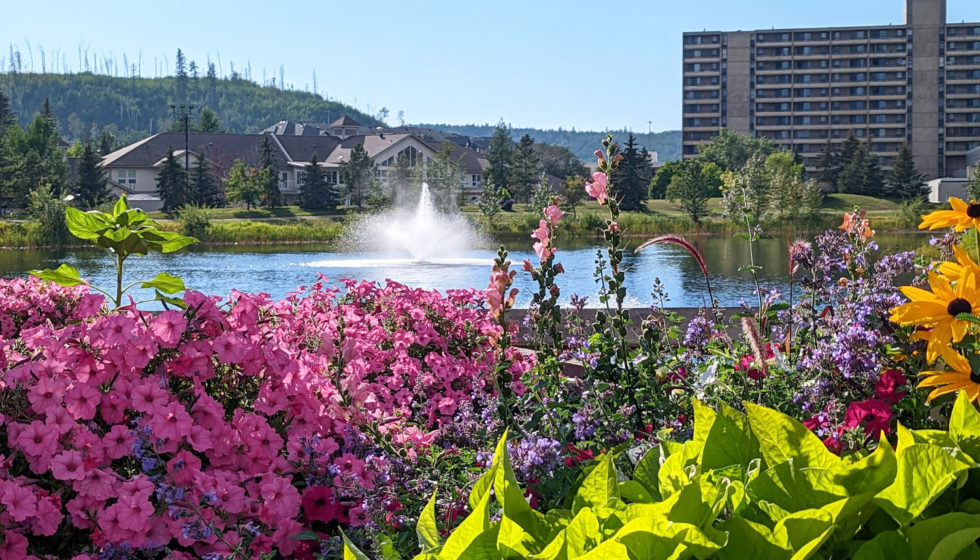 July's Big Picture - Fort McMurray Edition