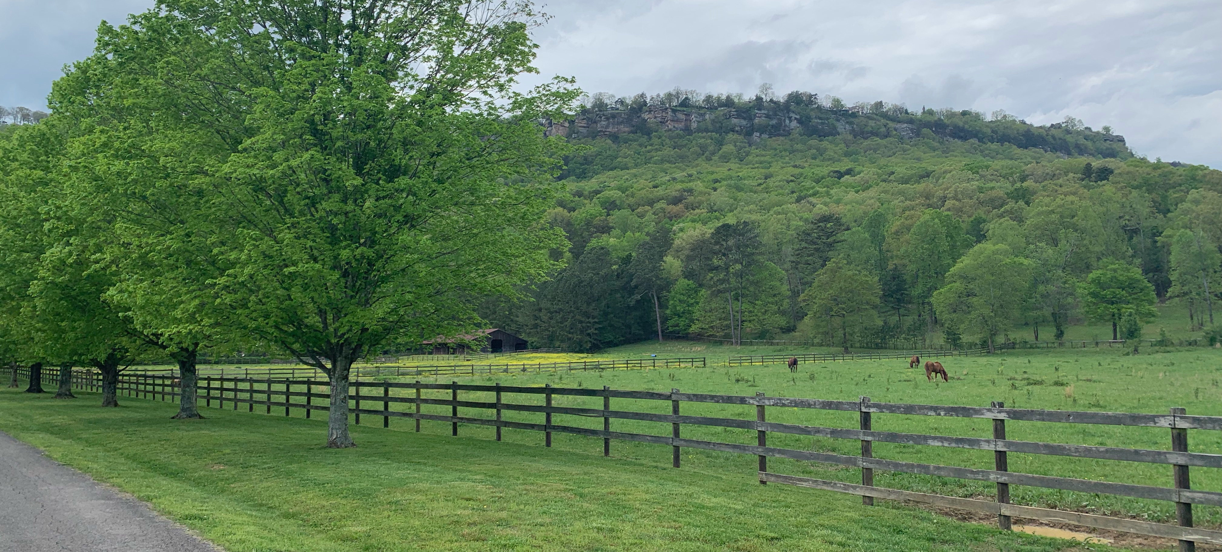 Flintstone, GA Guide Search Chattanooga Homes For Sale