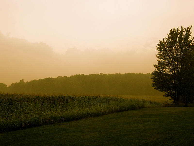 Flowood, MS Guide eXp Realty