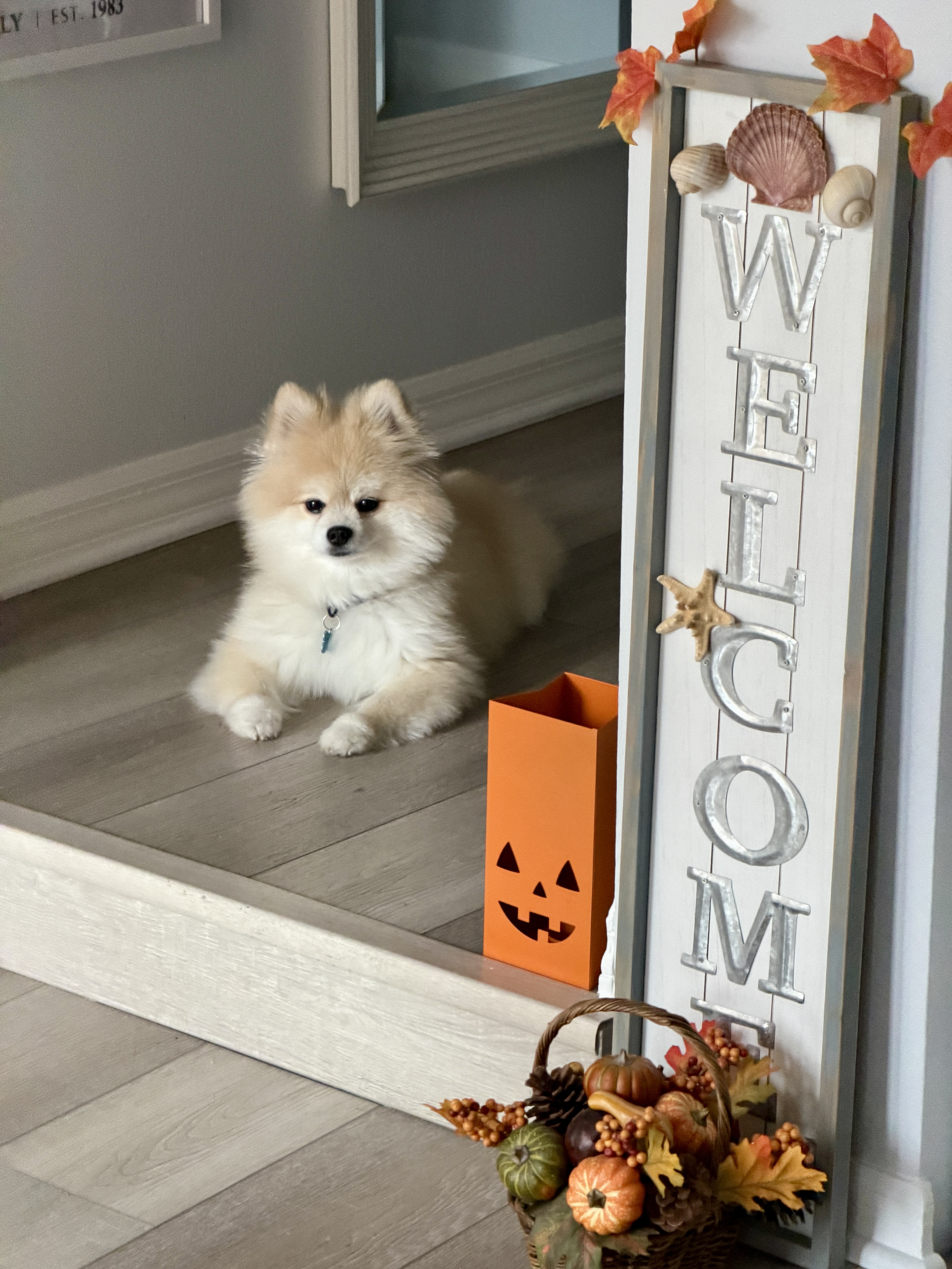 Would You Buy a Haunted House?