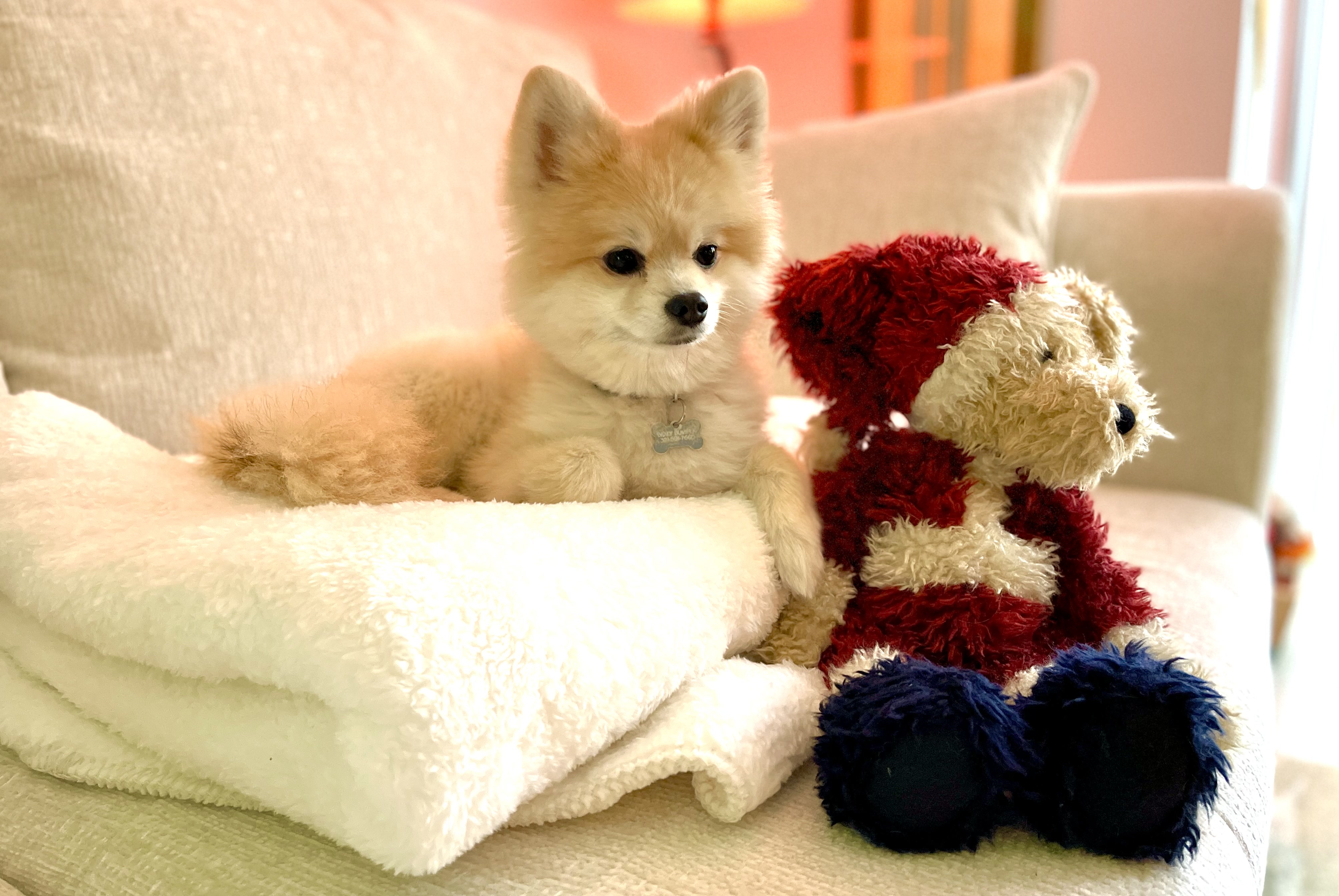 Buying & Selling During the Holidays