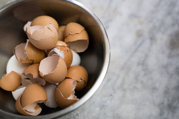 istockphoto-682176540-612x612.jpg