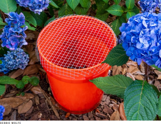 The "Bucket of Doom": A Surprisingly Simple Way to Help Reduce Mosquitoes in Your Backyard