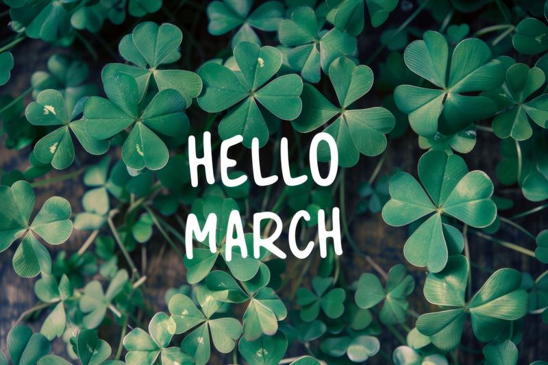 March Vendor Info