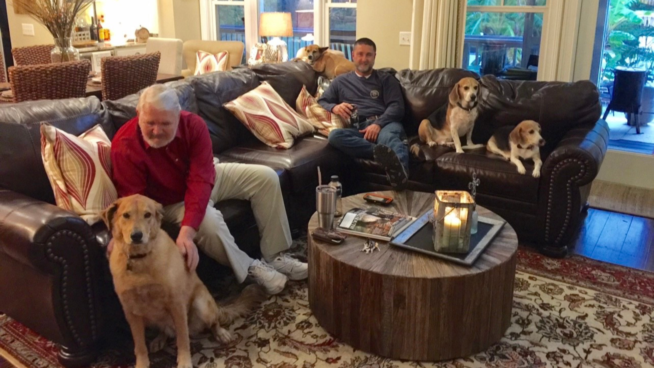 all the dogs at christmas photo.png