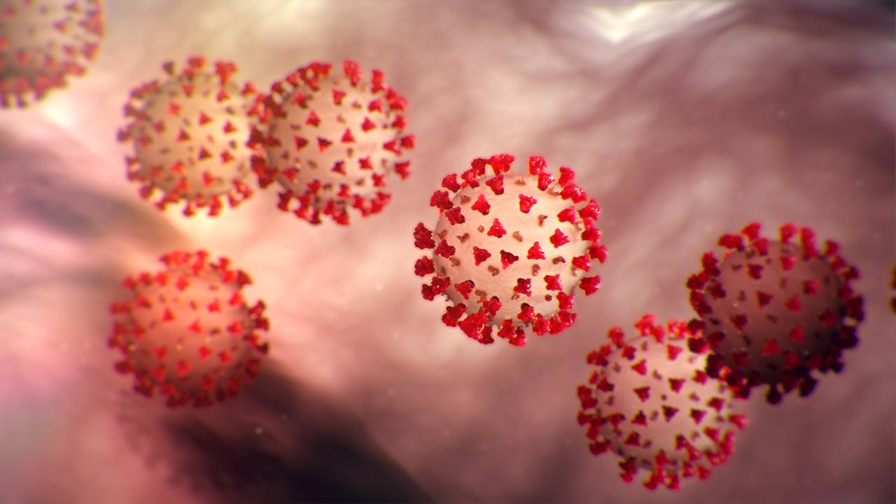 coronavirus-COVID-19.jpg
