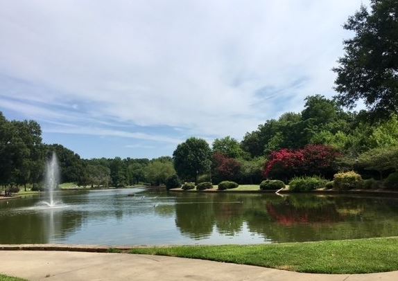 Join Us At Freedom Park For Picnic In The Park 