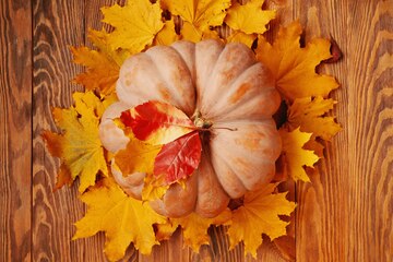 flat-lay-ripe-round-pumpkin-autumn-leaves-large-pumpkin-fallen-autumn-leaves-fall-back_72464-1732.jpg