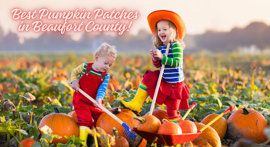 Best Pumpkin Patches in Beaufort County Sonya Reiselt.jpg