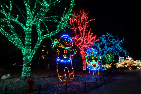Cobb County Holiday Fun Guide 2025: Lights, Shows, and Merry Moments