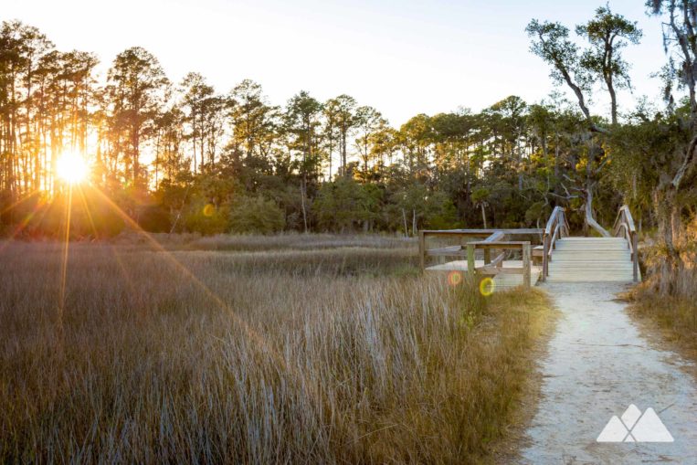 skidaway-island-sandpiper-avian-loop-trail-02-763x509.jpg