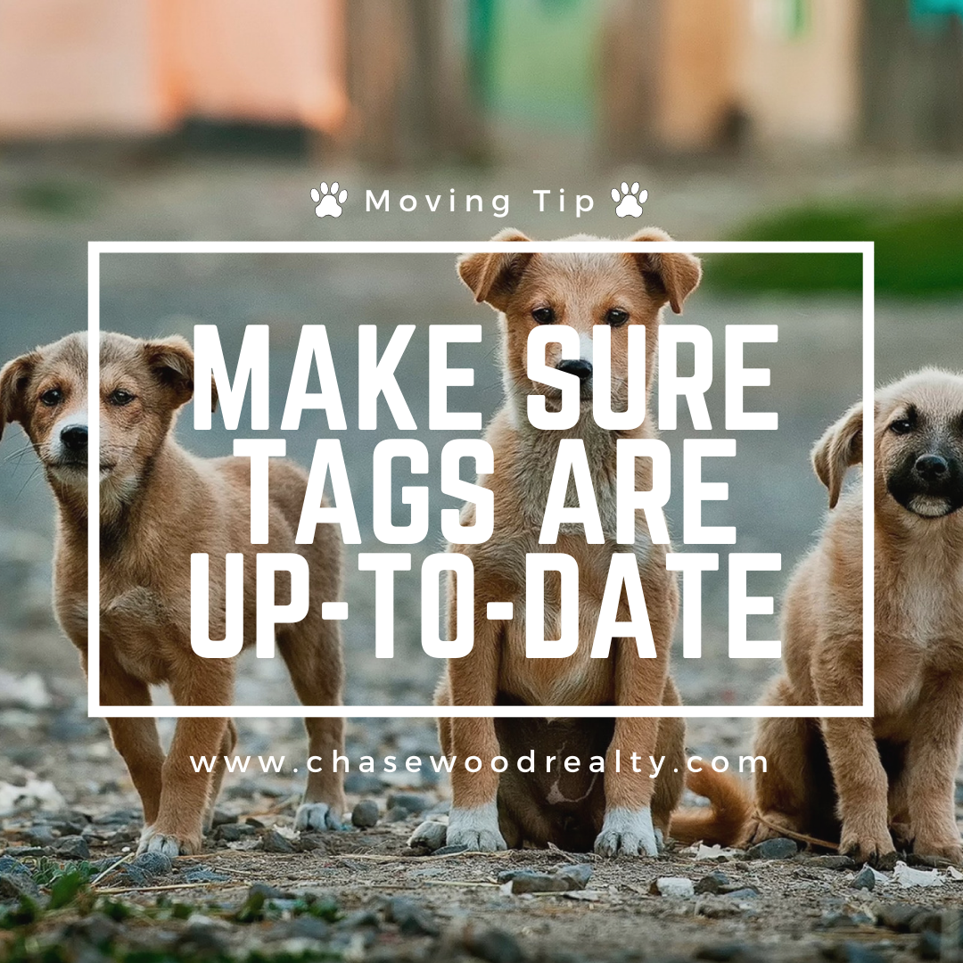 Tips for Moving with Pets Chasewood Realty Karey Kendrick
