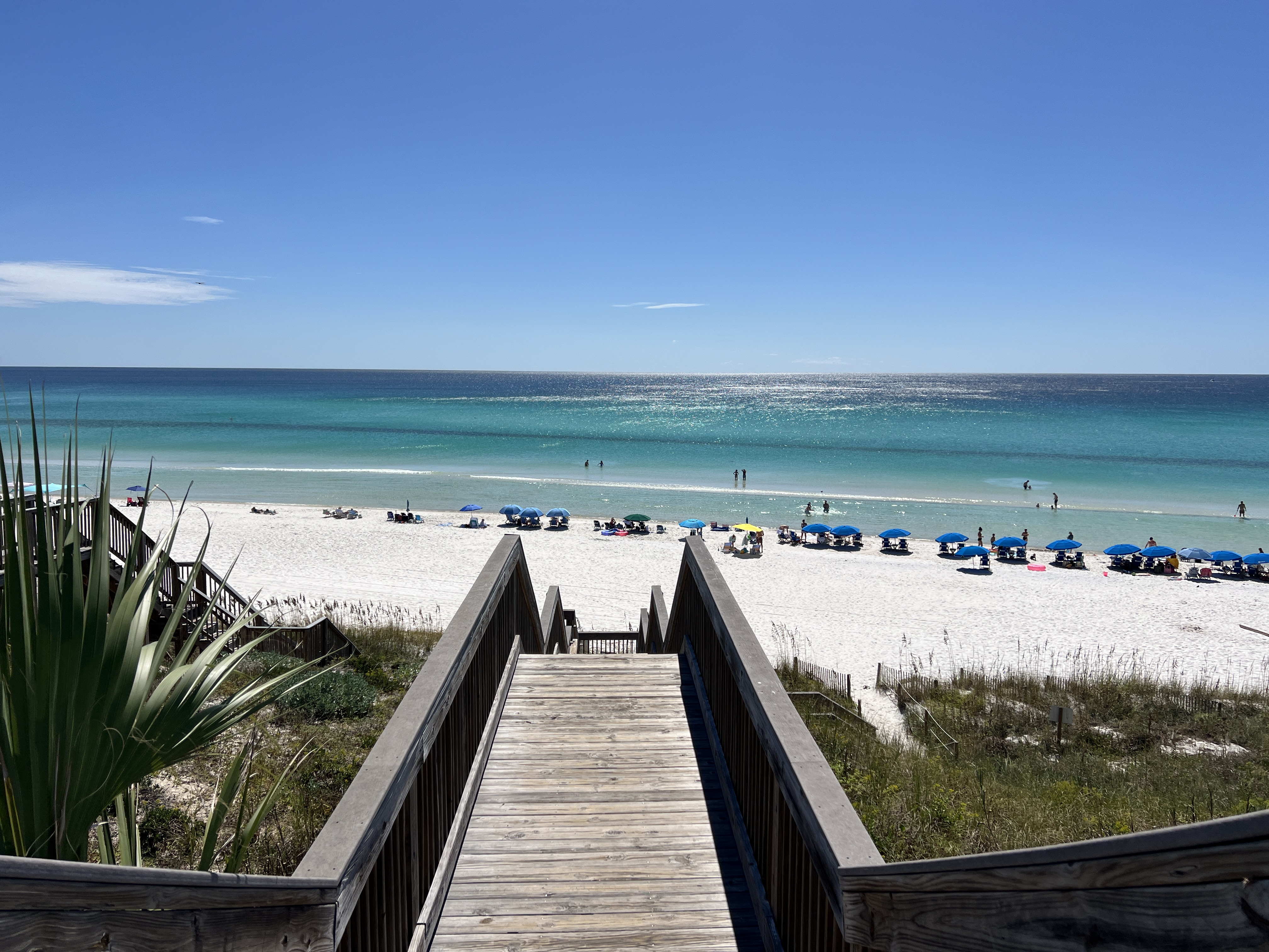 Thanksgiving Meal Ideas on 30A, Santa Rosa Beach, and Destin, FL