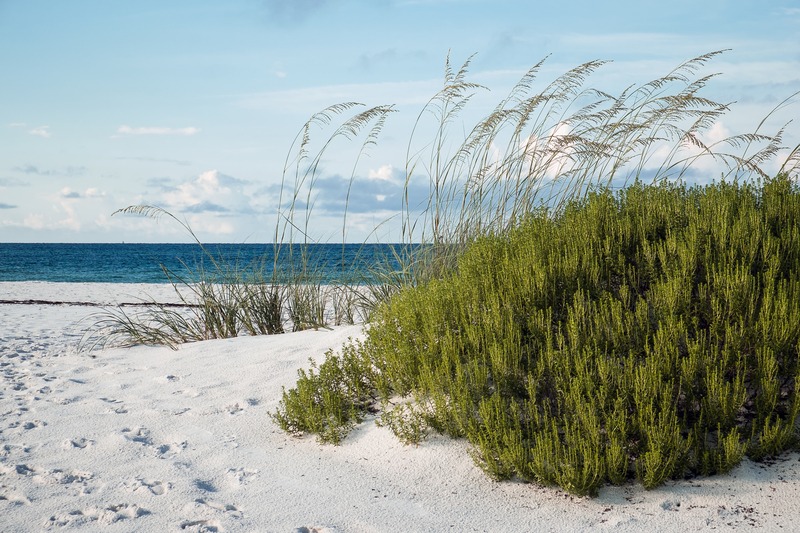 Miramar Beach, FL Guide | Discover Emerald Coast 30A Homes