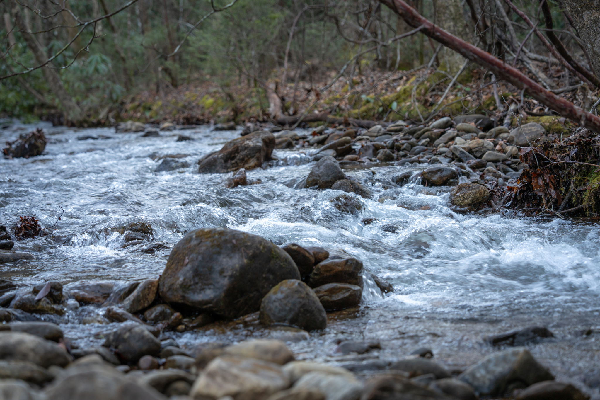 Luxury Real Estate with The Holly Nelson Team, Engel & Völkers North Georgia Mountains