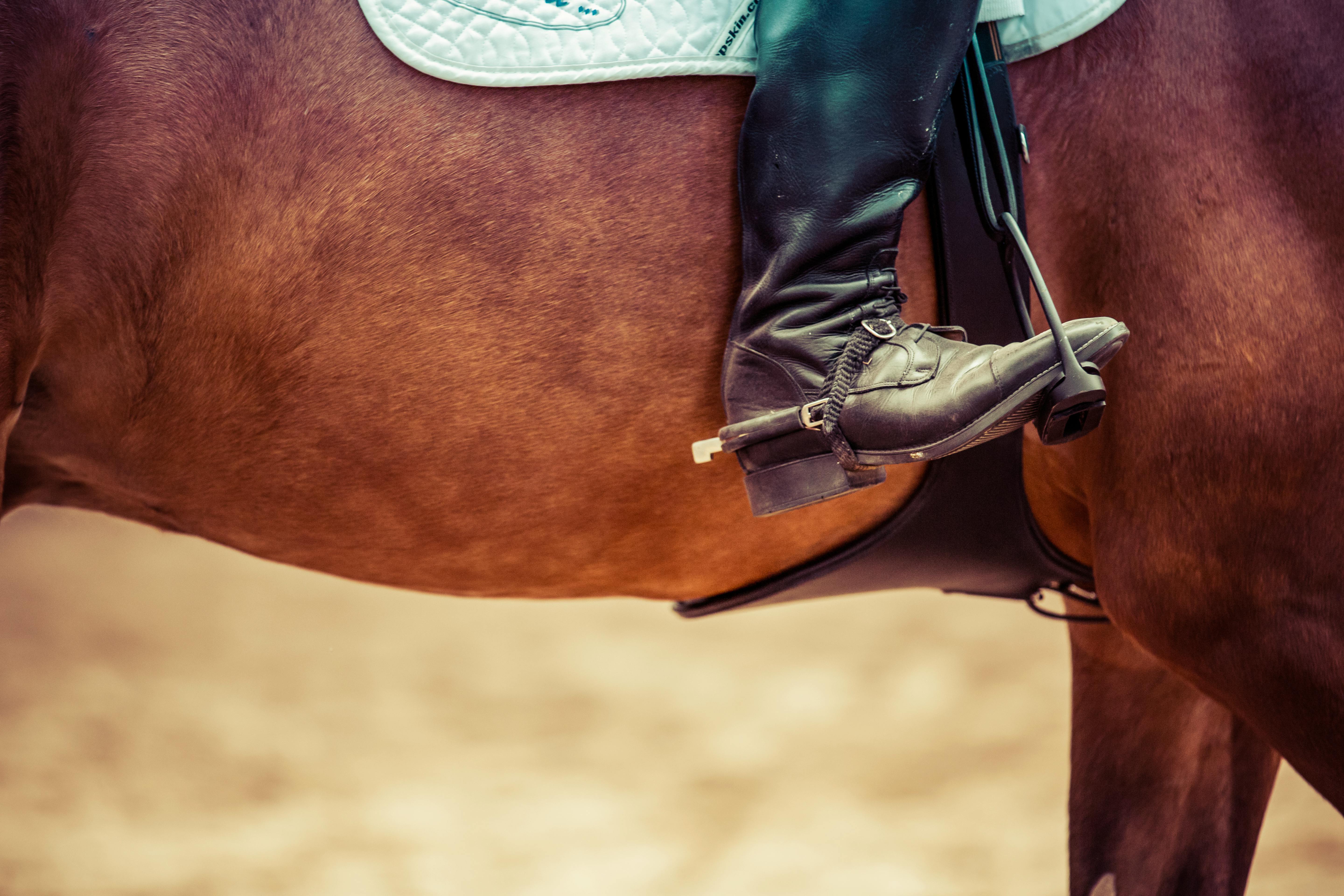 Equestrian Communities in NW Arkansas 