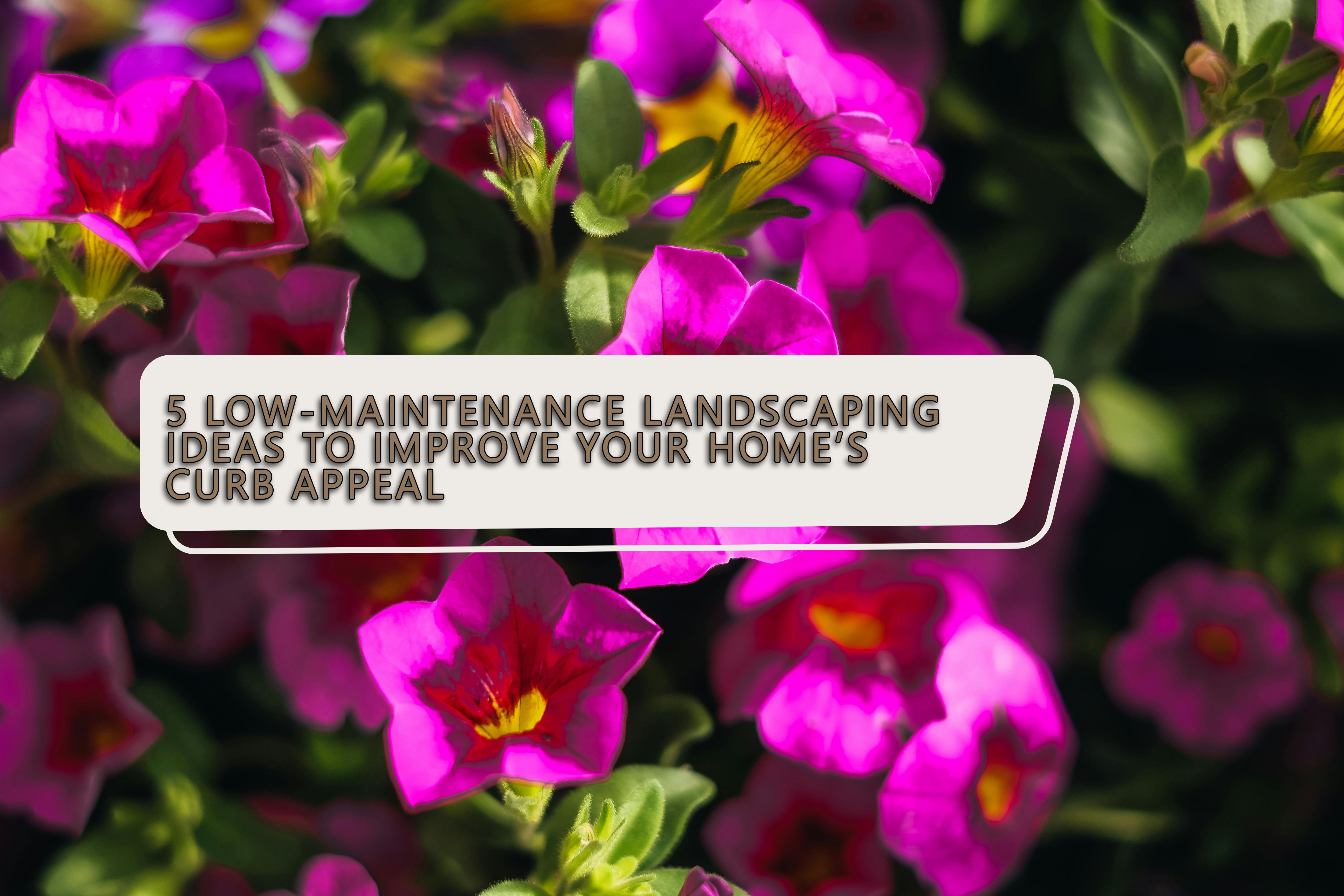 5 Low-Maintenance Landscaping Ideas to Improve Your Home’s Curb Appeal 