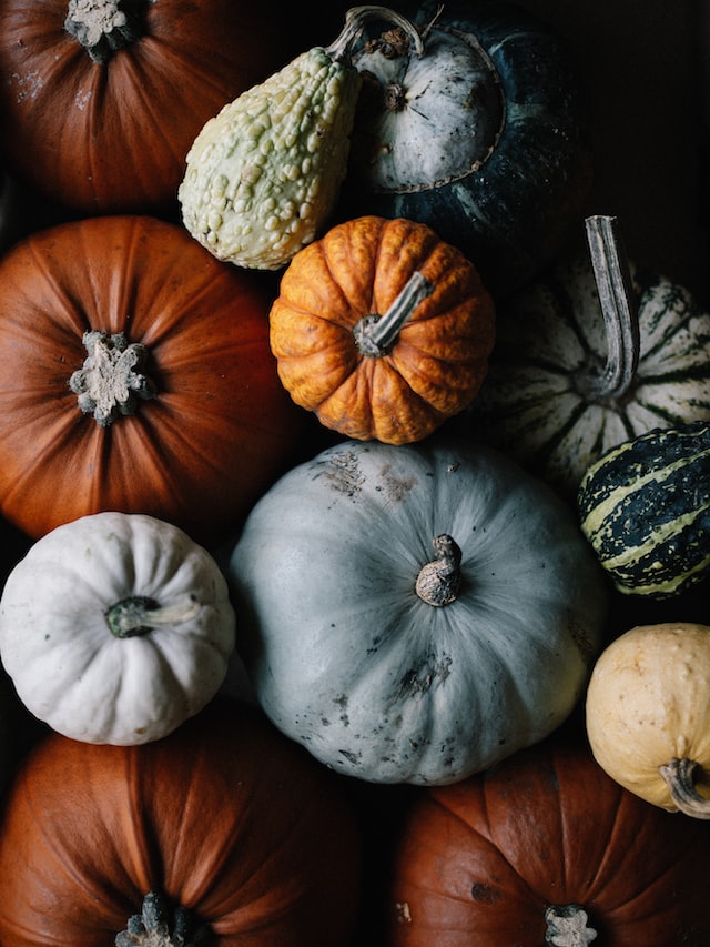 4 FUN ACTIVITIES TO DO THIS FALL