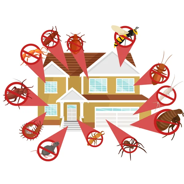 How To Avoid The Damages of Home Fumigation