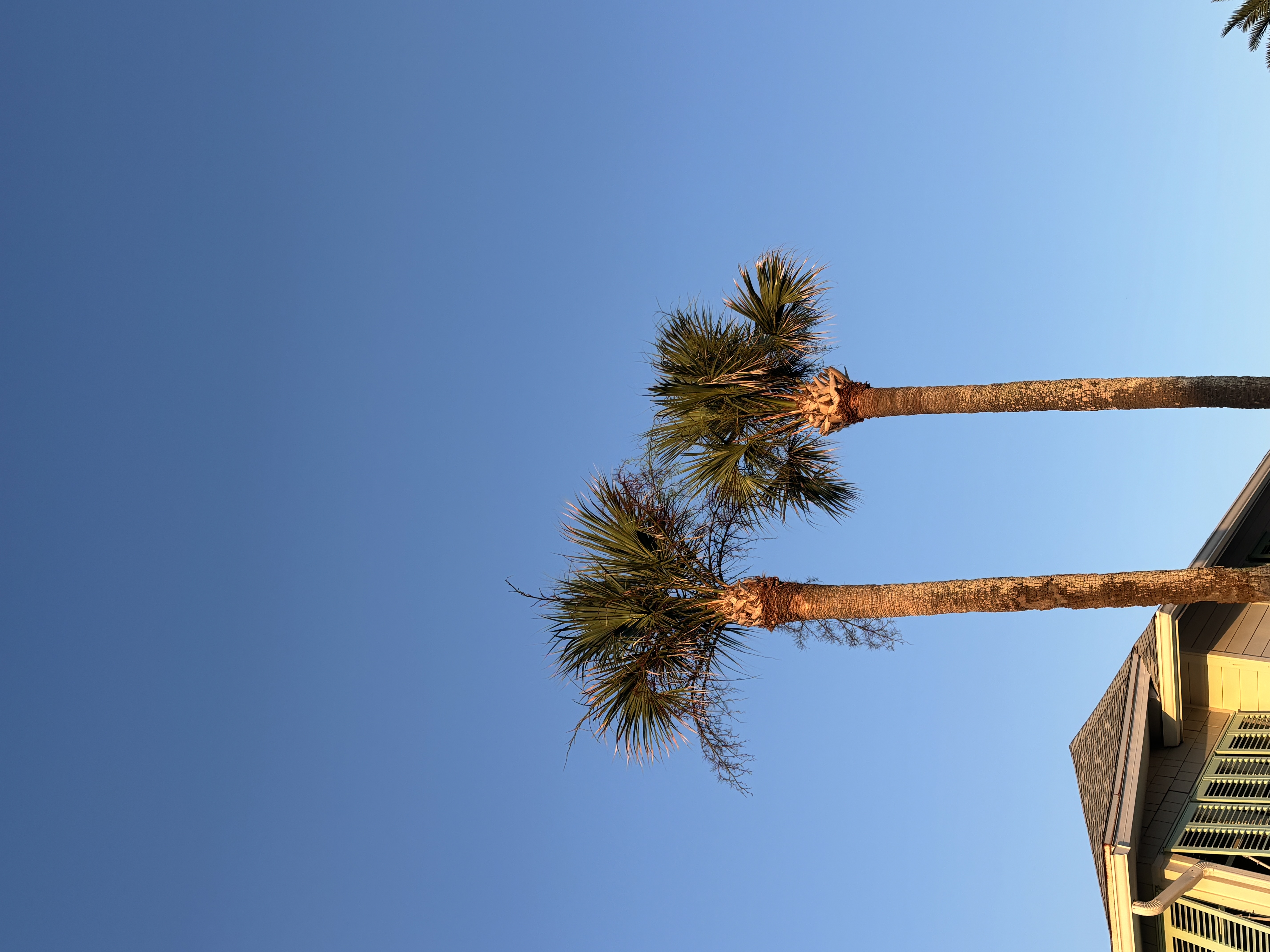 Local Events: July