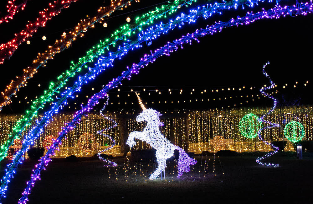 NC Arboretum Winter Lights - Romantic Asheville.jpeg