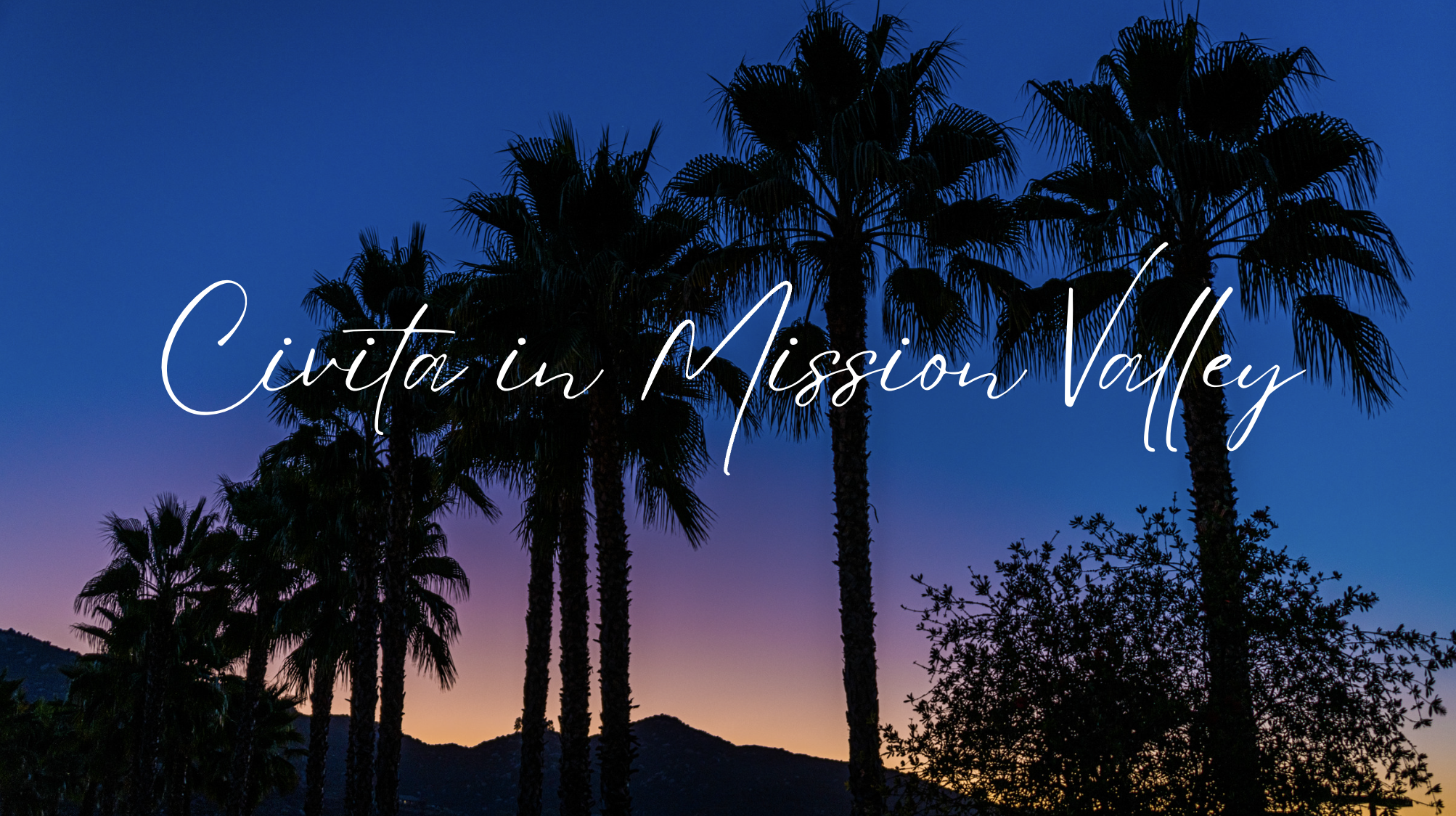 Living in Paradise: Exploring the Neighborhood of Civita in Mission Valley