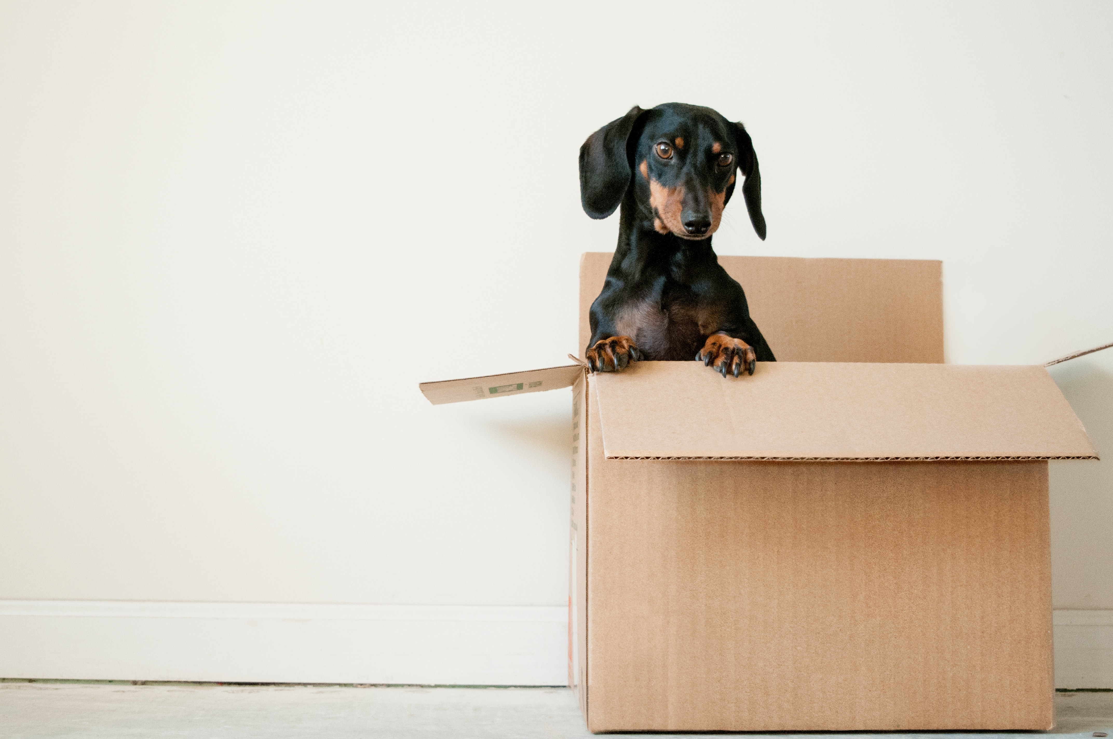 Extra Fees When Moving to a New Delaware or Pennsylvania Home