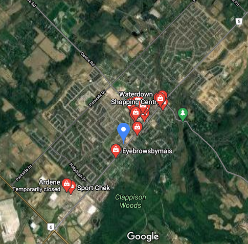215 dundas map.PNG