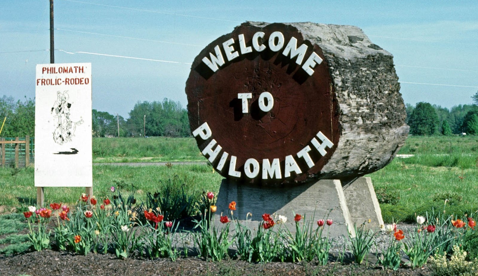 Philomath, OR Guide | View Oregon Real Estate