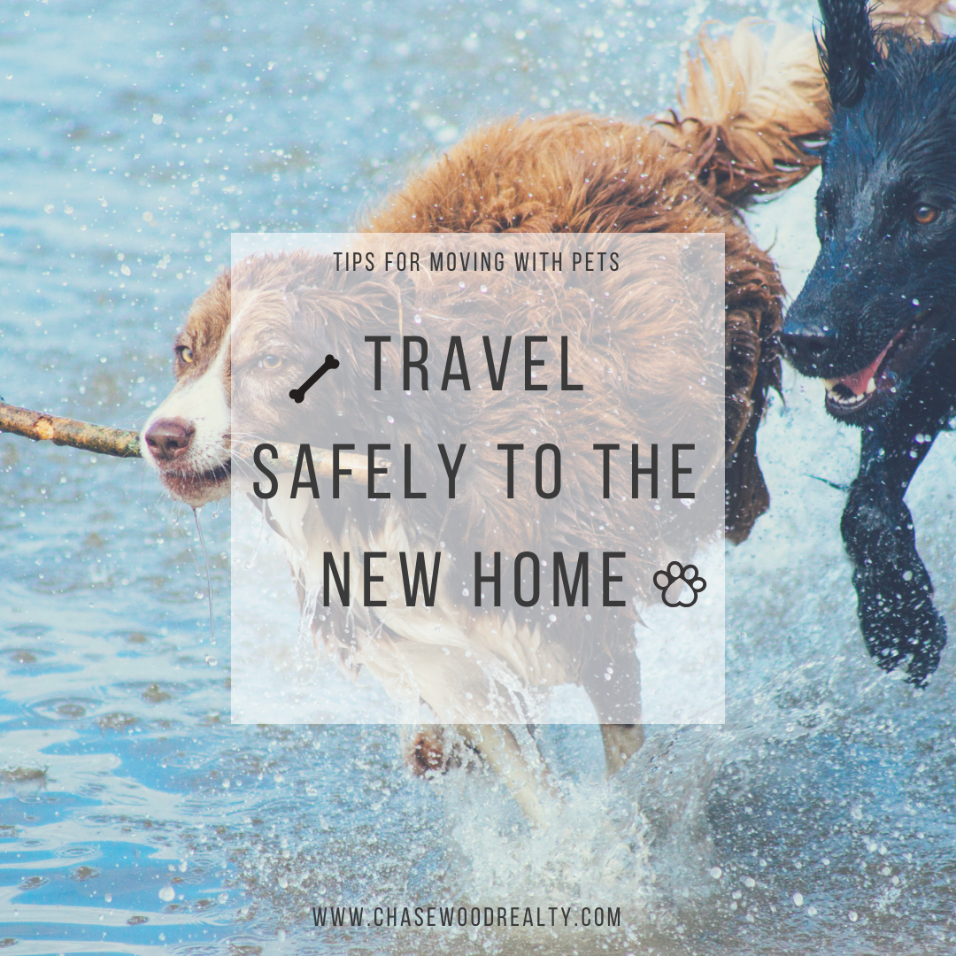 Tips for Moving with Pets