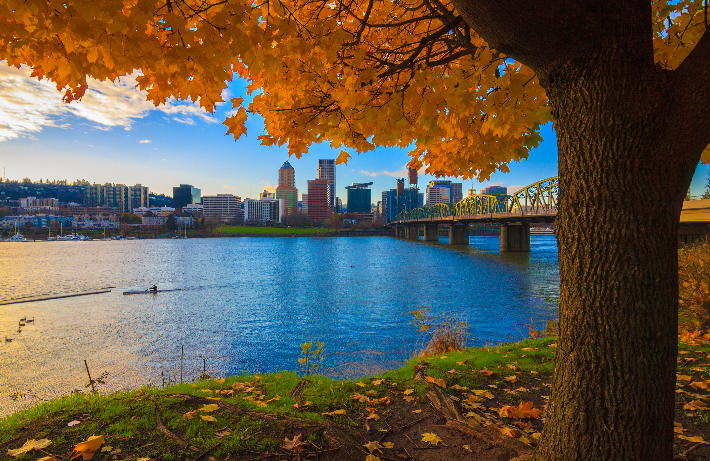 Portland Skyline