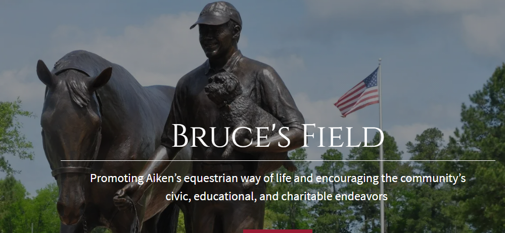 Bruce's Field.png