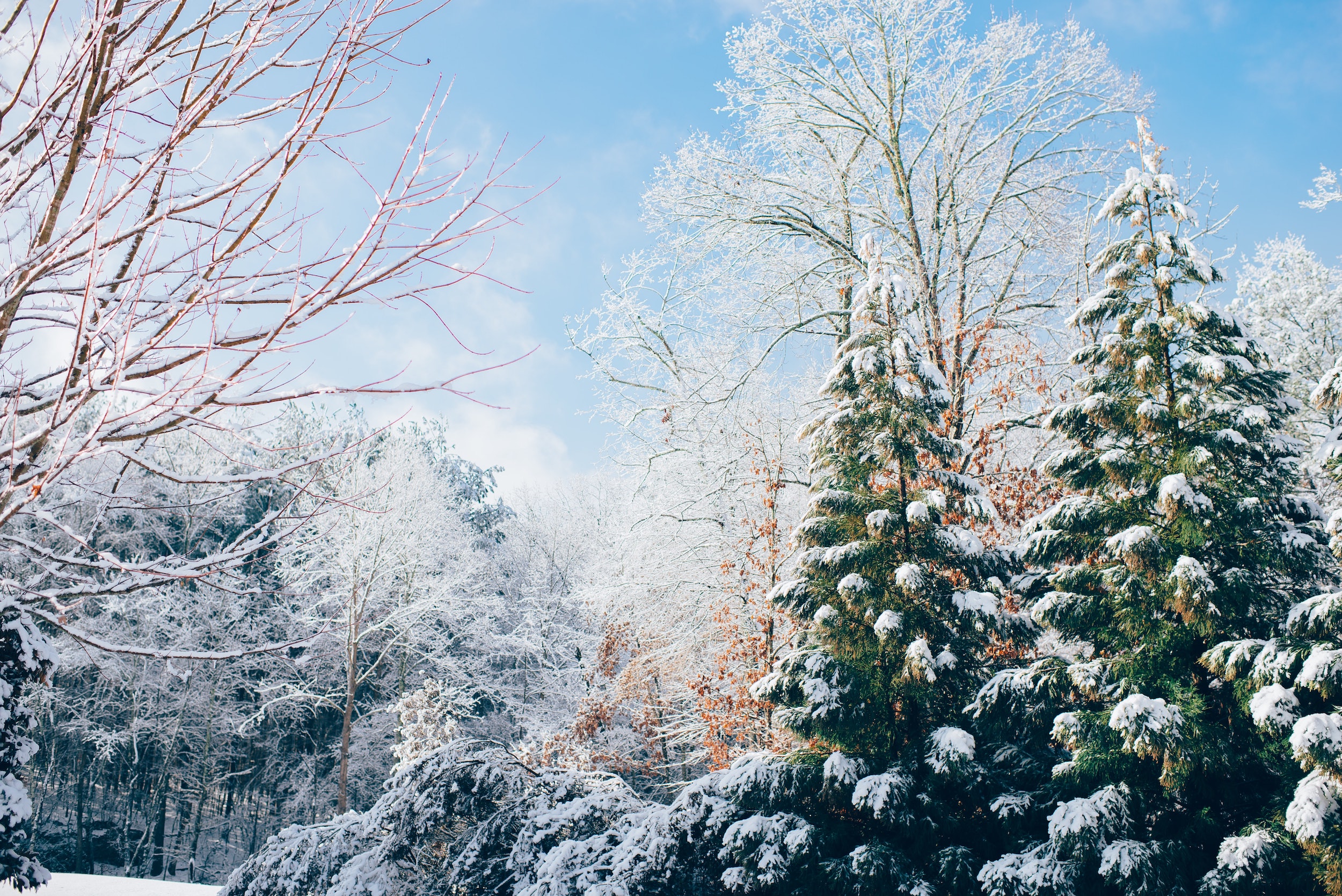 How to Shop for a Delaware or Pennsylvania Home in the Winter