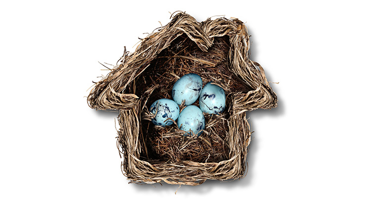 nest egg.jpg