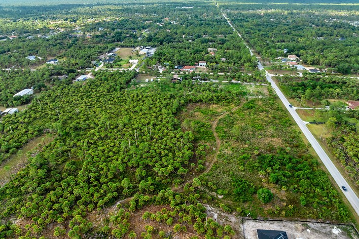 Wetlands and Uplands Explained: What You Need to Know Before Buying Land in Golden Gate Estates, Naples FL