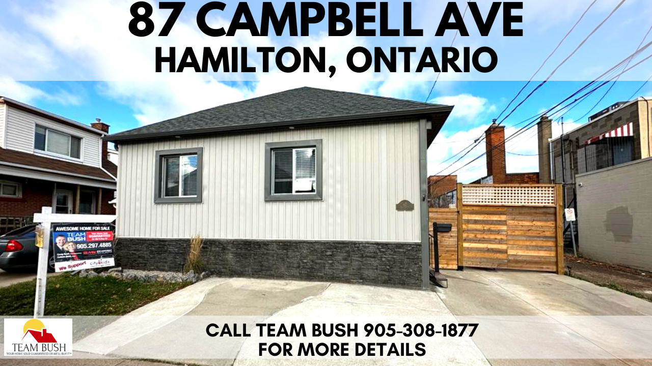 87 Campbell Ave (1).png