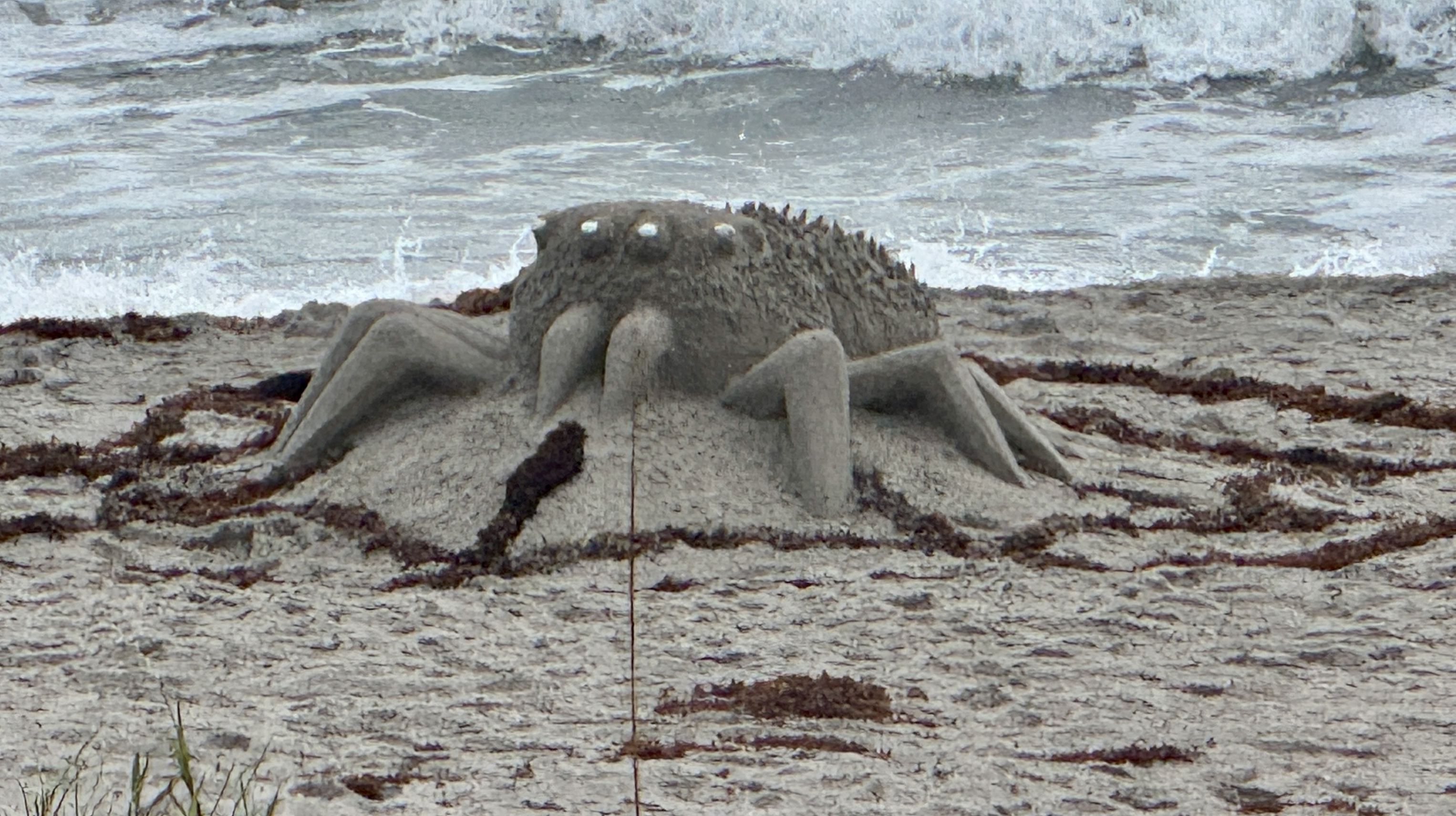 Hidden Gems on the Space Coast: A Local's Guide to Coastal Living