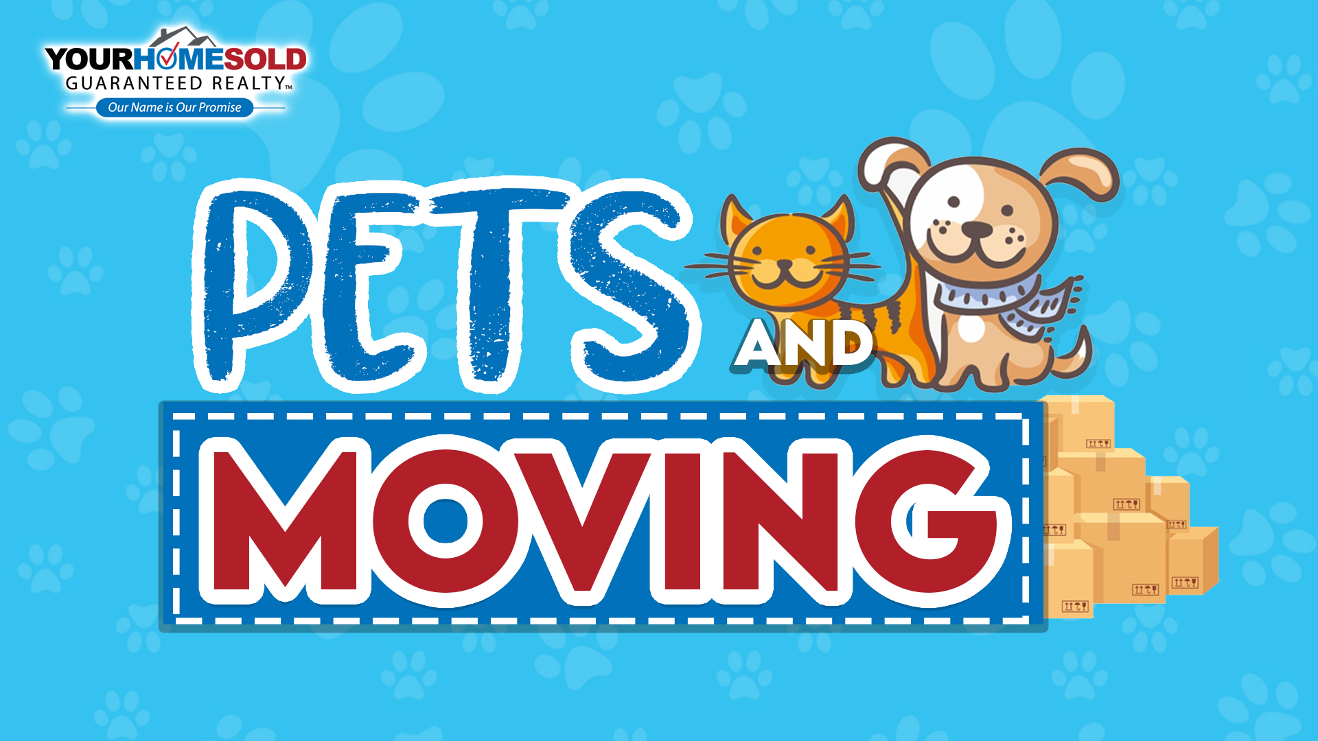 Pets And MOving.jpg