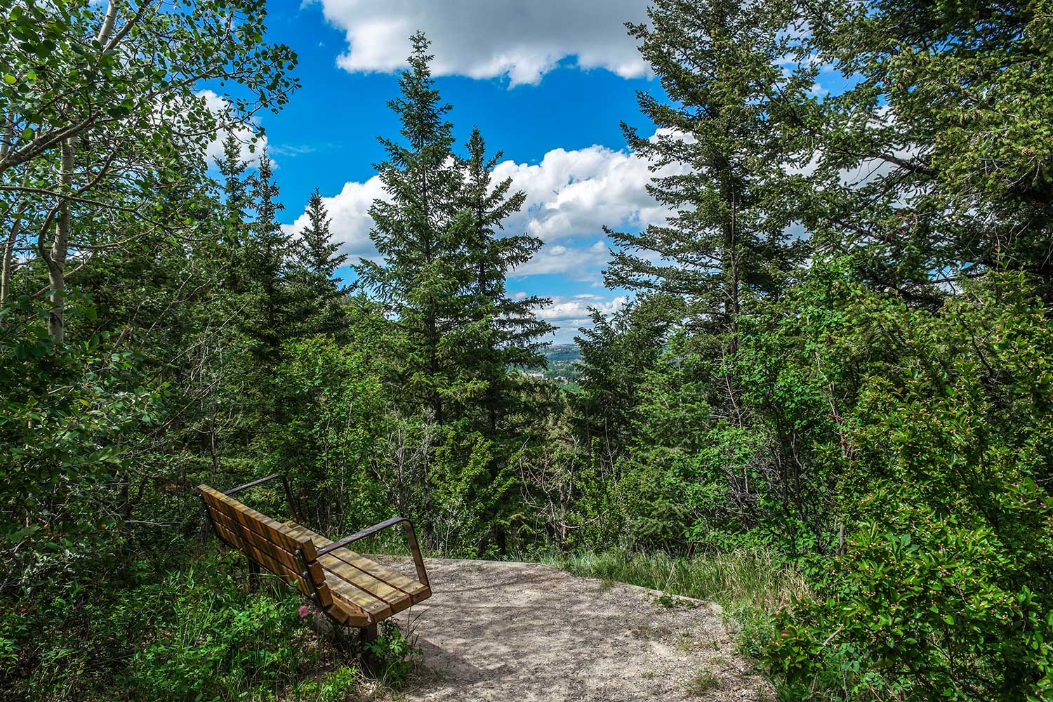 Wildwood, AB Guide Find Homes in Calgary