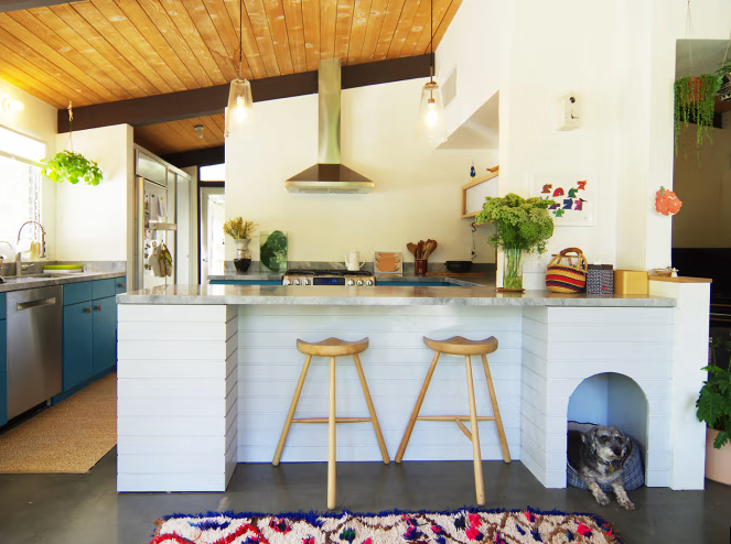Barkitecture: The Home Design Trend Every Dog Owner Should Know About