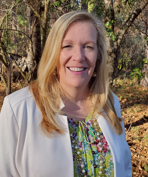 About Gold Country Homes For Sale