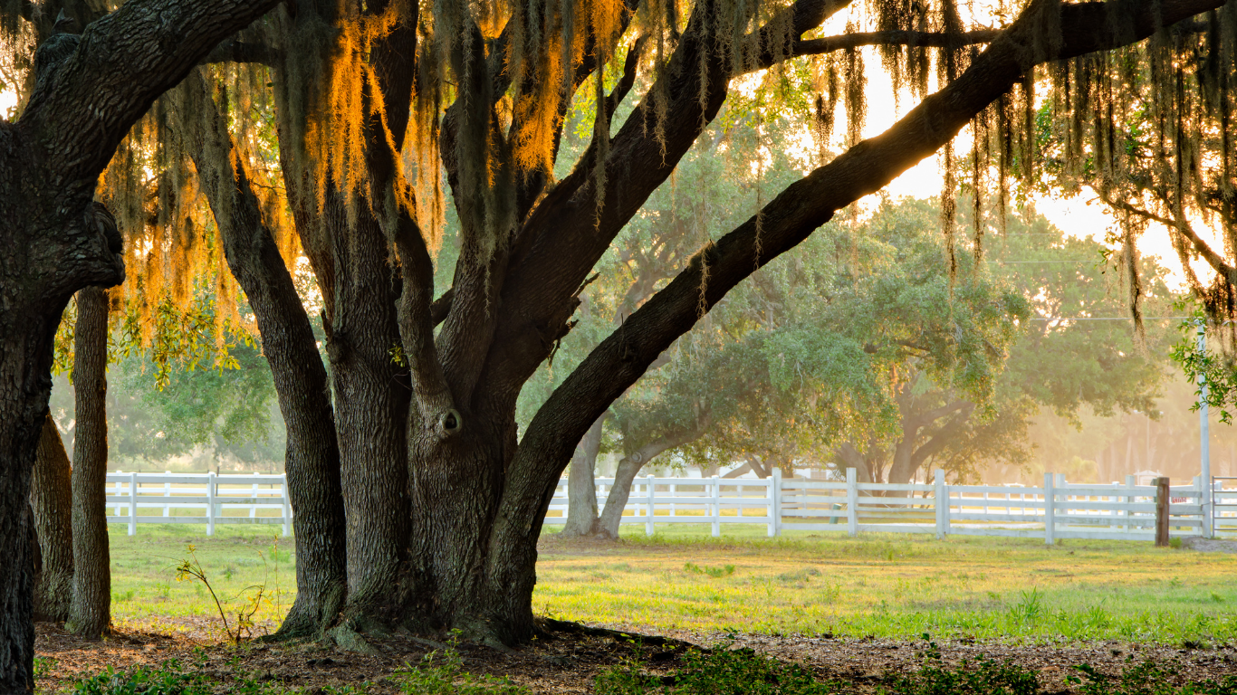 How to Navigate Buying Acreage, Equestrian or Outdoor-Living Properties in Dunnellon & Reddick