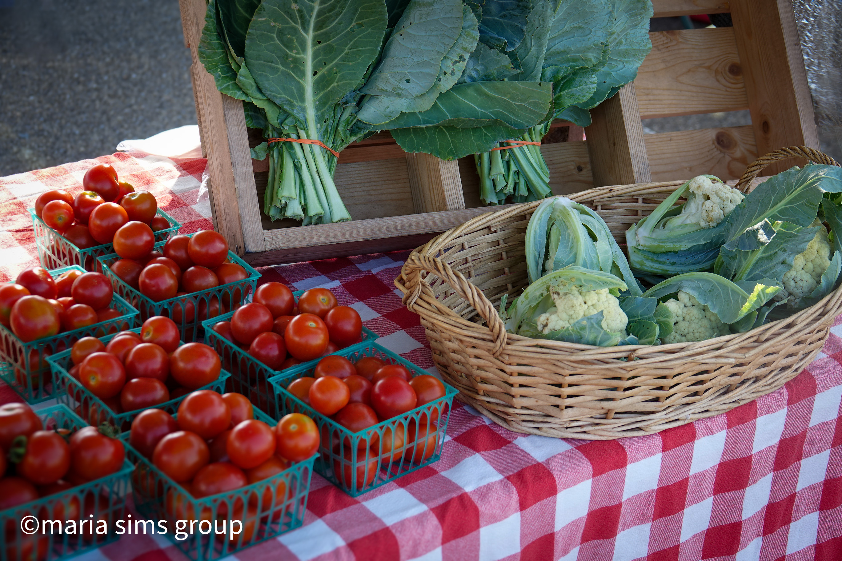 North Georgia Farmers Markets Information 1.jpg