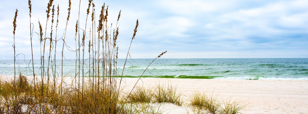 beachfront gulf coast.jpg