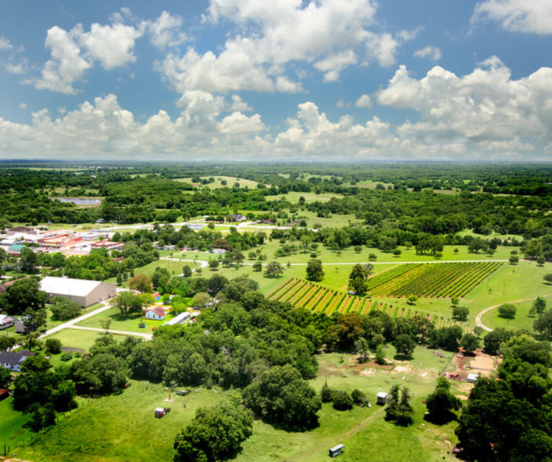 The Ultimate Guide to Living in Fulshear, TX