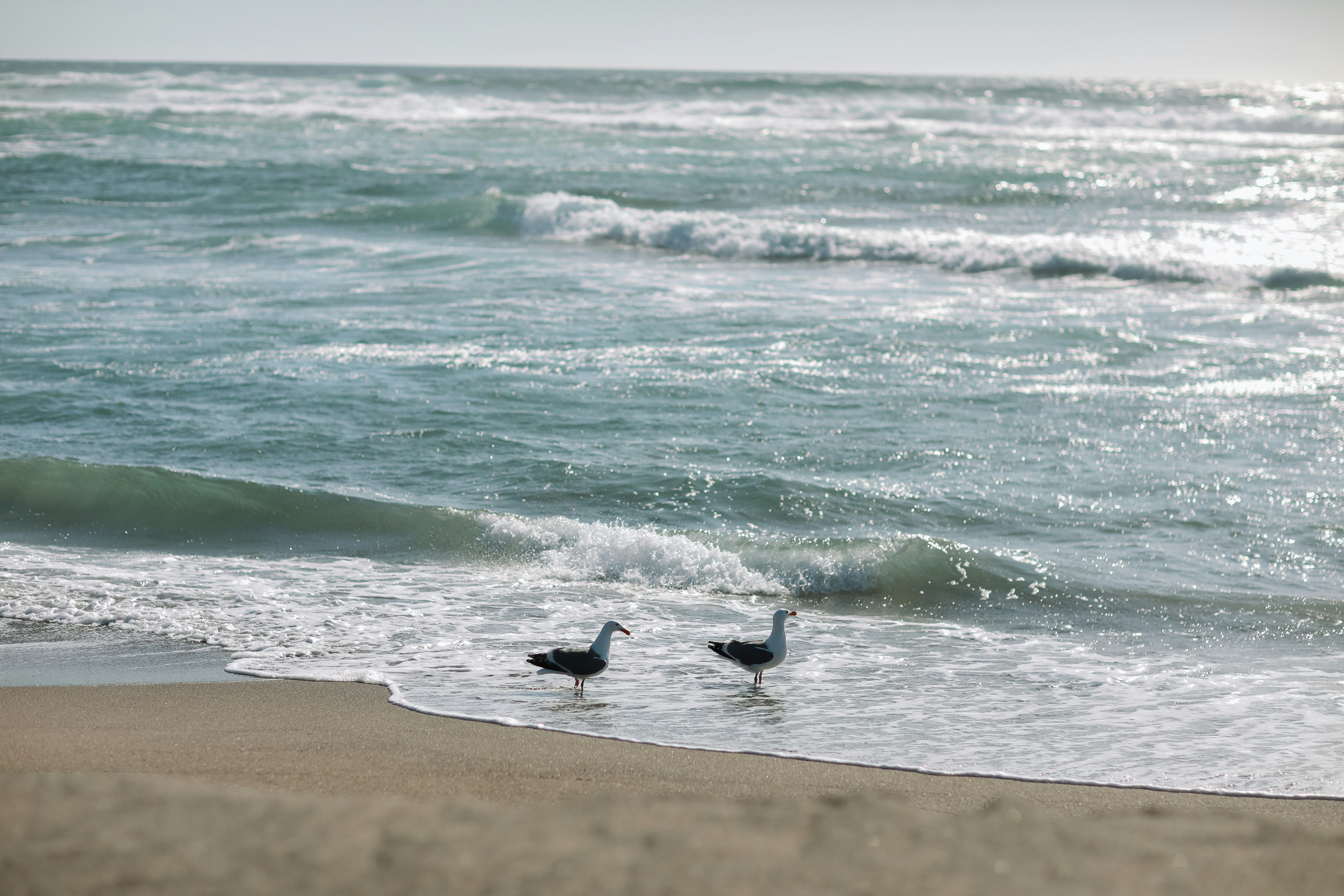 Why Manzanita, Oregon Is One of the Best Small Beach Towns to Buy a Home